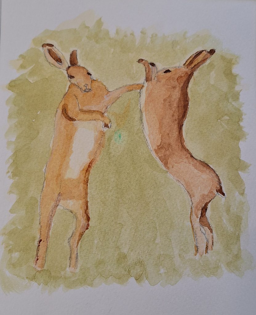 Boxing hares used by permission