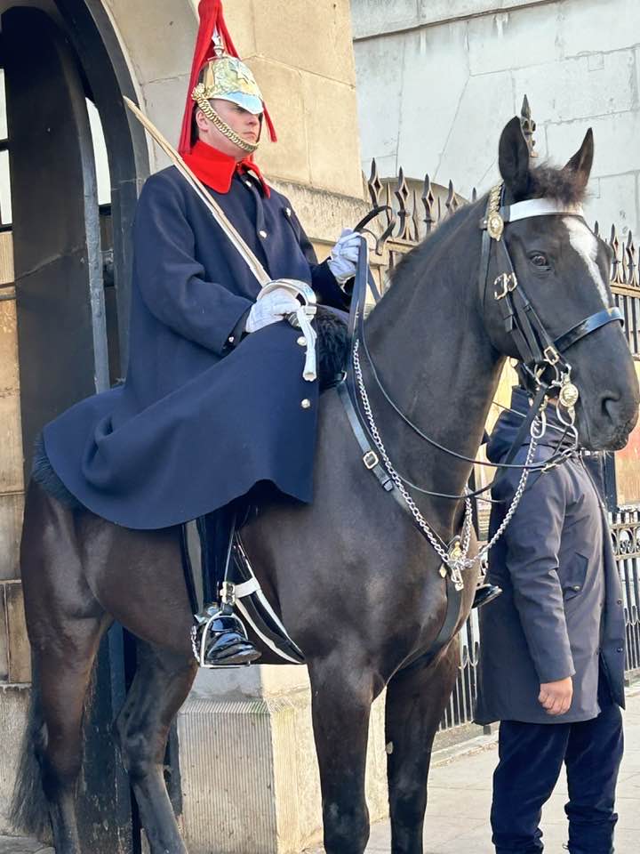 One of the Horse Guards