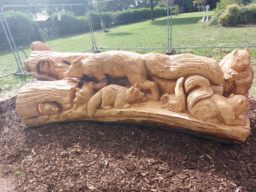 Maple Bench in Frome park - 2