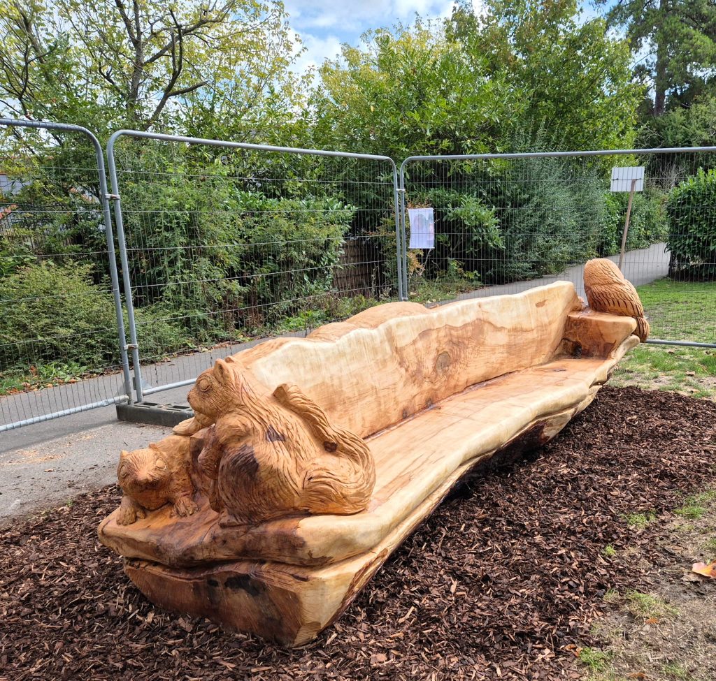 Maple Bench in Frome park