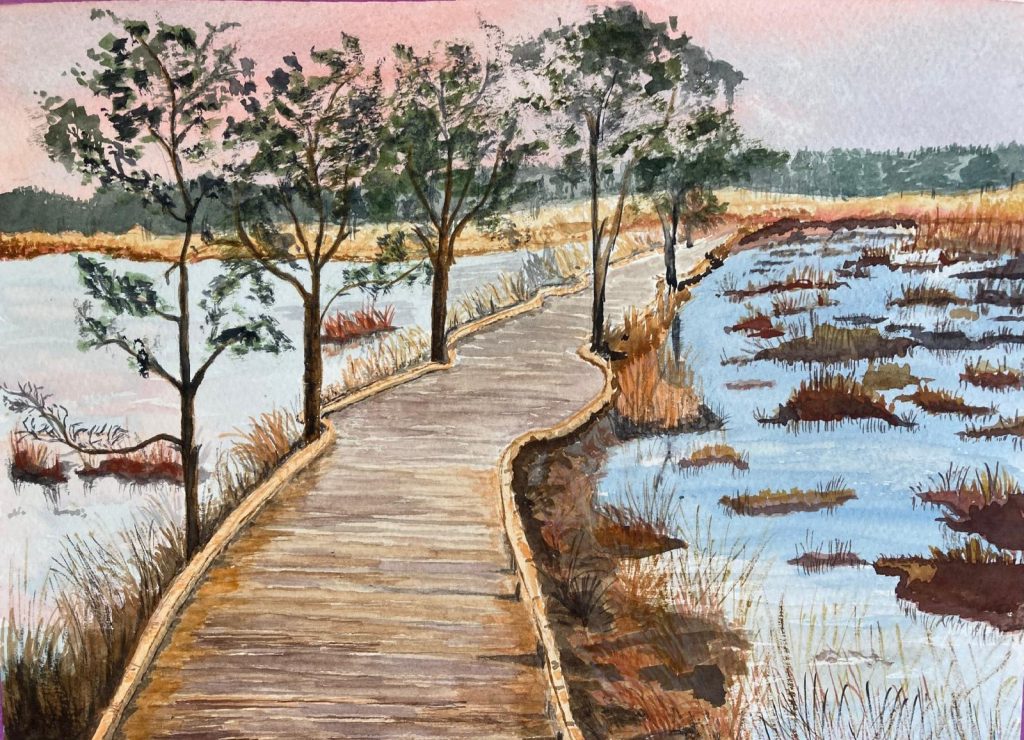 Marsh / River scene