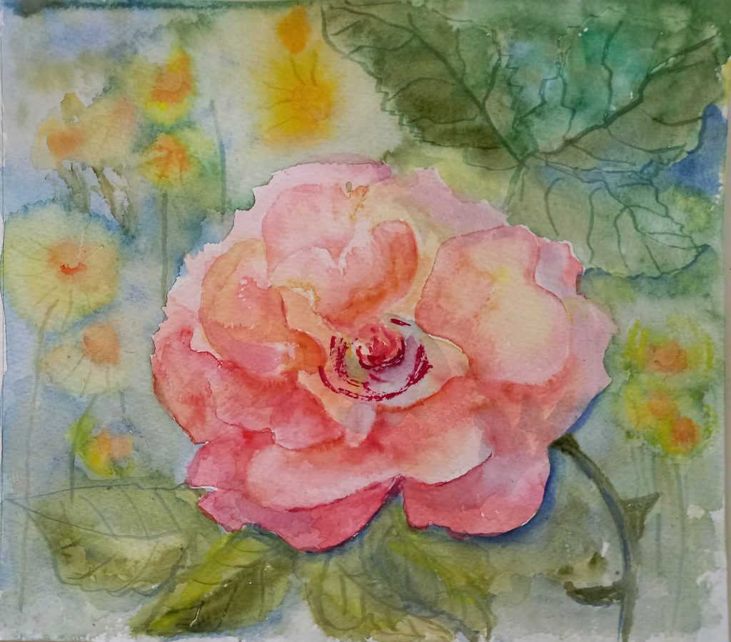 Spring Rose by Liz Summerson