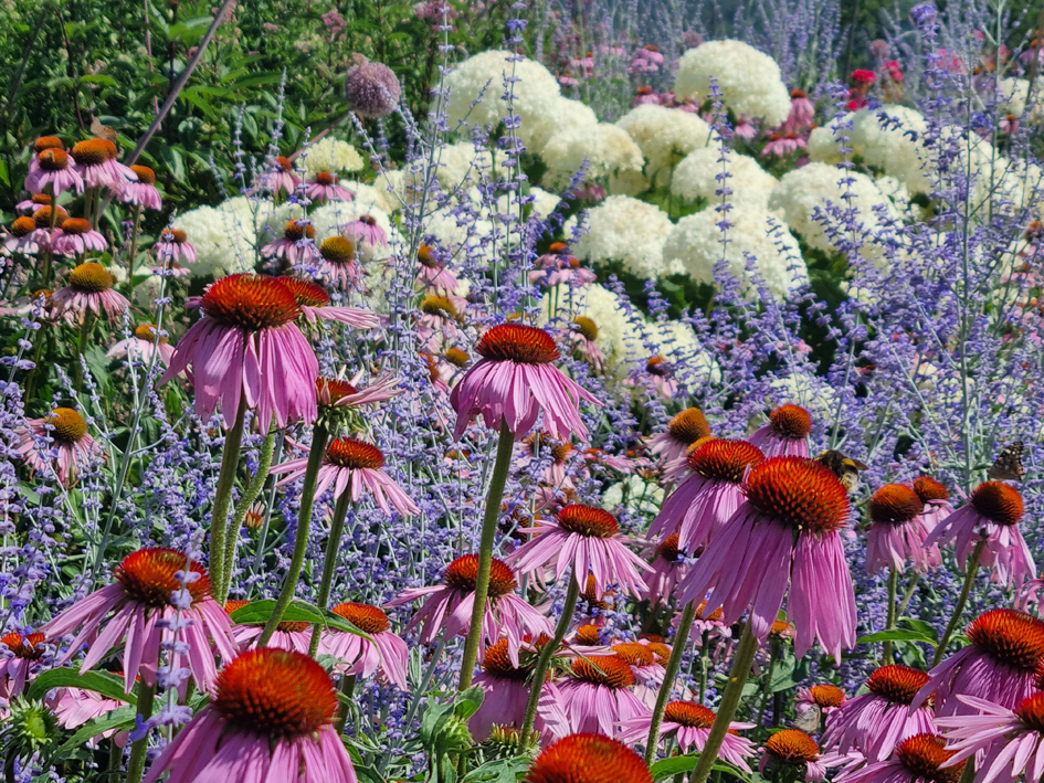 The Courts Garden by Marion Dewar