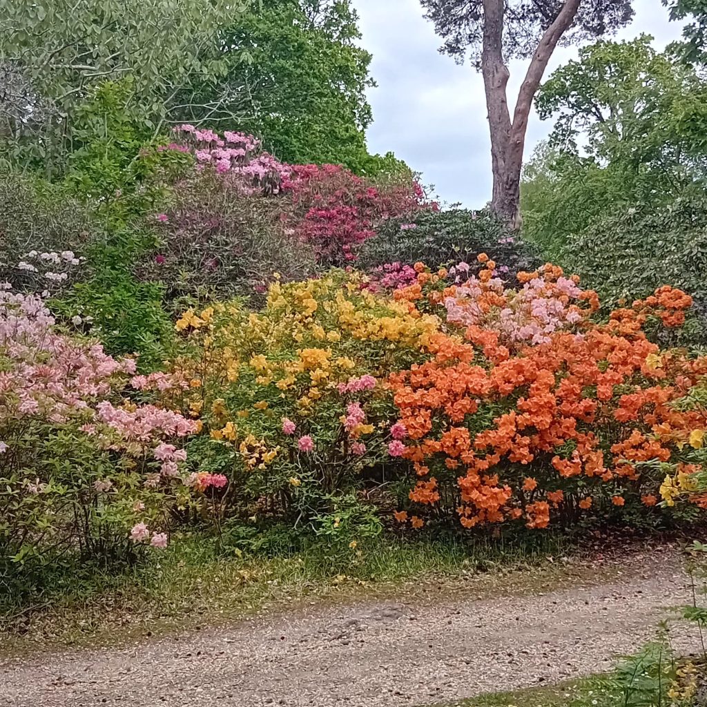 Exbury Gardens